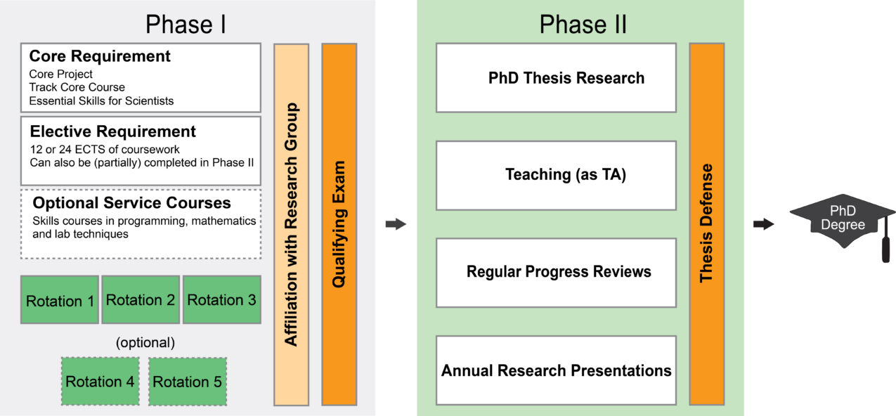 structure of a phd program